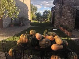 Azienda Agricola Il Querceto - Abriola