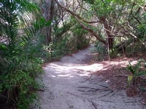 Itacimirim - Quinta das Lagoas Residence