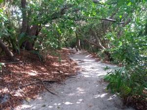 Itacimirim - Quinta das Lagoas Residence