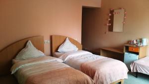 Twin Room room in Pensiunea Paloma 3 stele Brasov