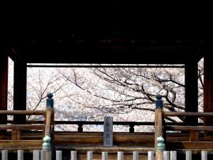 Temple-stay WAQOO Mii-dera