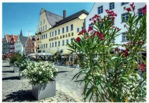 Hotel Adler - 大梅灵