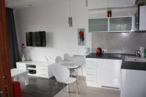 Apartament Sofii w Centrum