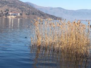 The Little Stone House by the Lake Kastoria Greece