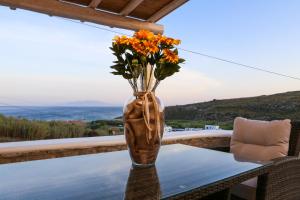 Venus Myconian Residences