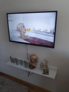 Apartman Radojević Vila Darija