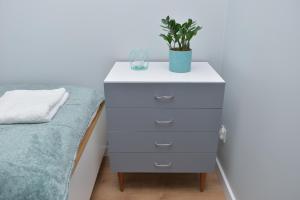 Apartament Grobla