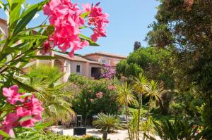 Appart'hotels Residence Pierre & Vacances La Pinede : photos des chambres