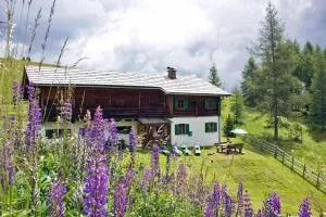 Almliesl EBEN-588 - Falkertsee