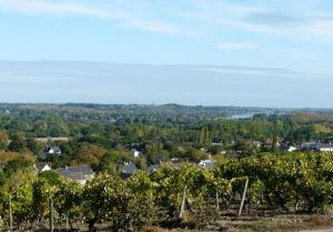 Clos sainte catherine