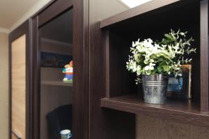 Apartments Faraon Centr on Zasumskaya