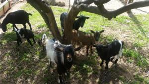 Le Radici Casa Vacanze