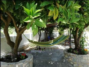 Lemon Tree and Olive Garden House Pelion Greece