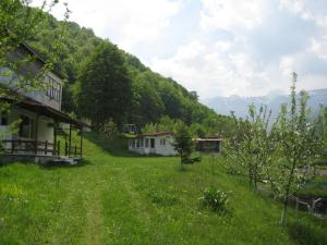 Pension Bungalows Zdravets Berkowiza Bulgarien