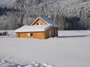 Chalets Chalet pour amoureux de la nature avec vue sur le lac de Retournemer : photos des chambres