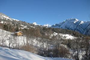 Chalet Cathy