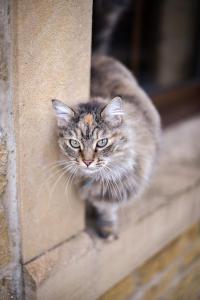 Chambres dHôtes La Fraiseraie