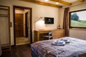 Deluxe Double Room room in Wellness & Spa Boutique Hotel Villa Memories