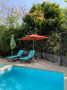 Casa de las Aves - Alberca y Jacuzzi climatizados - Espectaculares vistas