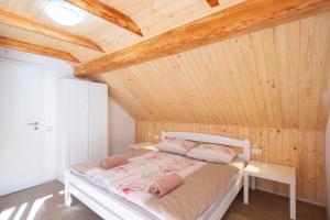 Apartments and Rooms Banić