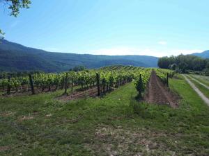 Maisons de vacances Gite entre Vignes et Montagne : photos des chambres