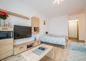Central Apartments Goleniow