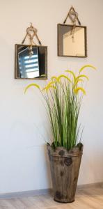 Apartments 4 You Niepodległości