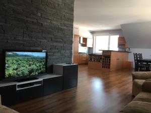 Spacious Apartment in Town Centre