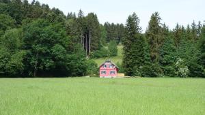 Erwins Ferien-Paradies