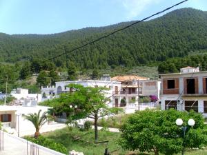 Dafnis Studios Skopelos Greece