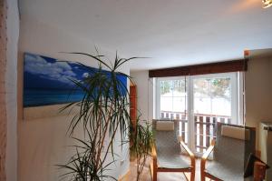 Ferienhaus Hinterzarten