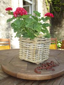 Maisons de vacances Logis de Bois Roche (2) : photos des chambres