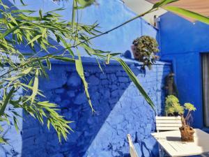 Casa Rico Frade Garden