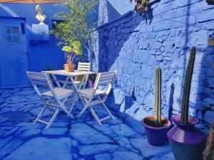 Casa Rico Frade Garden