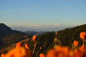 MUSKOTIA Independent Cottages - Bhatrojkhan