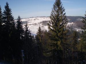 Pokoje Agroturystyka Koczy Zamek