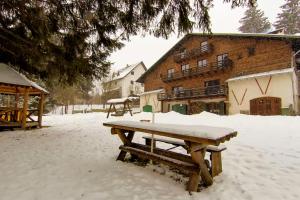 Charming Chalet Timisul de Sus