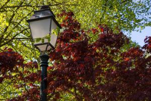 Hotels Chateau du Bois-Guy : photos des chambres