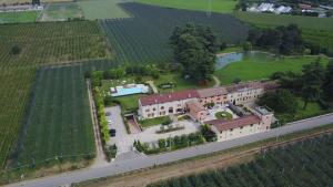 Belvivere Suites