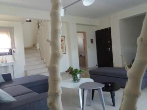 ALKYONI HOUSE IN AFYTOS