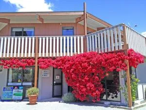 皮克顿露营公园酒店 - Koromiko