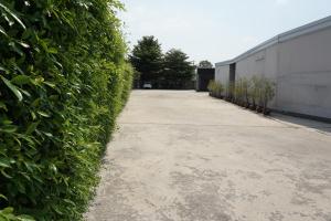 CheckInn Kan Resort Kanchanaburi