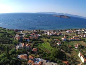 Anaxos Gardens Lesvos Greece