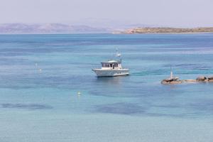 Aktaion Beach Boutique Hotel Agistri Greece