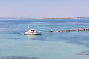 Aktaion Beach Boutique Hotel Agistri Greece