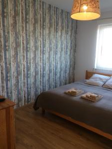 Apartament Fibra Grande