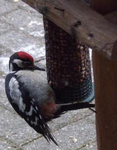 Farmhouse De Hoeve B&B apartment