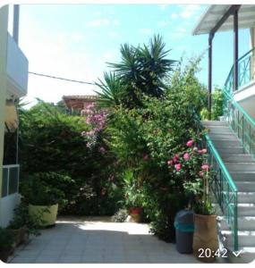 Lenia Studios Lefkada Greece