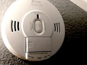 Un Soffice Nido Nel Cuore Di Torino