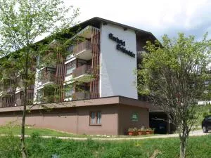 Ferienwohnung am Schluchsee - 施卢赫湖